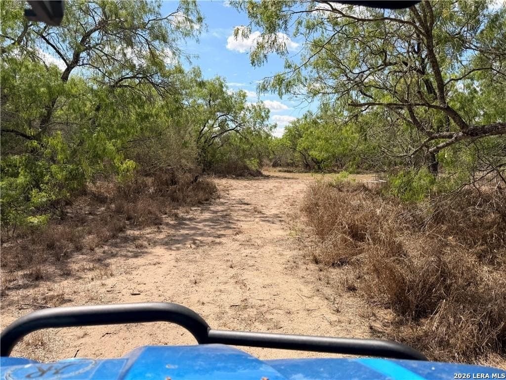 67 acres in Live Oak County - photo 27