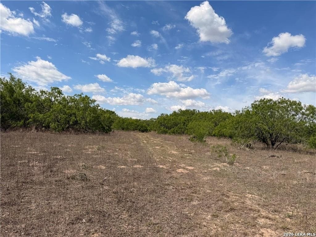 67 acres in Live Oak County - photo 24