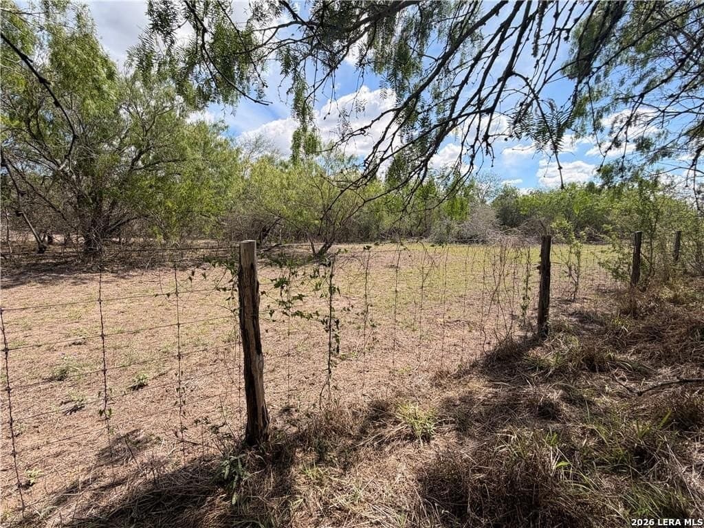 67 acres in Live Oak County - photo 23
