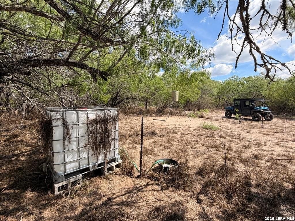 67 acres in Live Oak County - photo 29