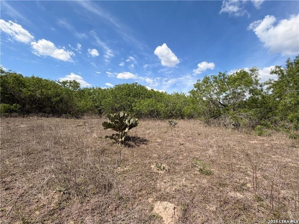 67 acres in Live Oak County - photo 26