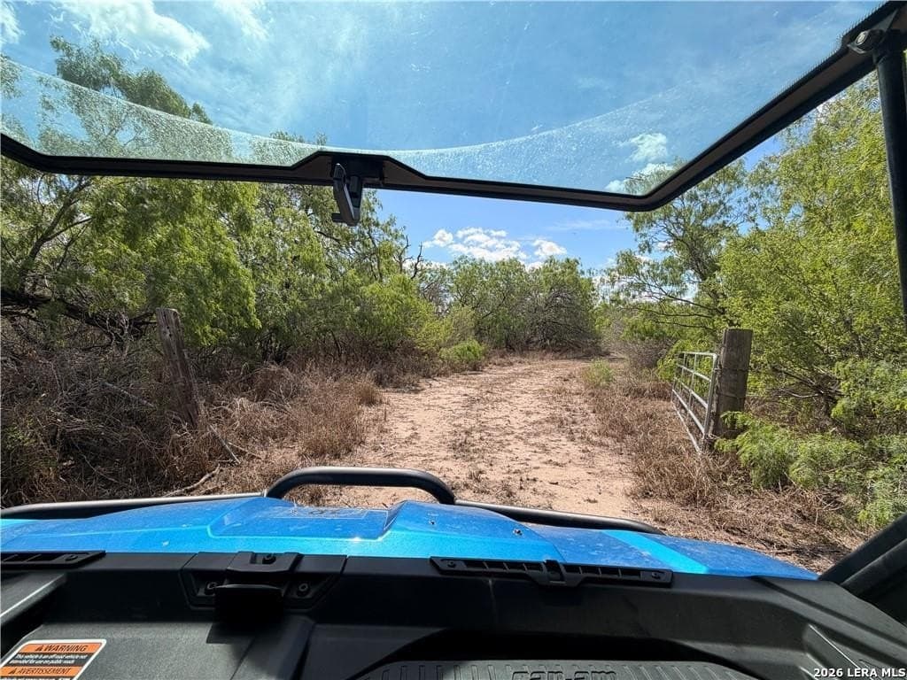 67 acres in Live Oak County - photo 19