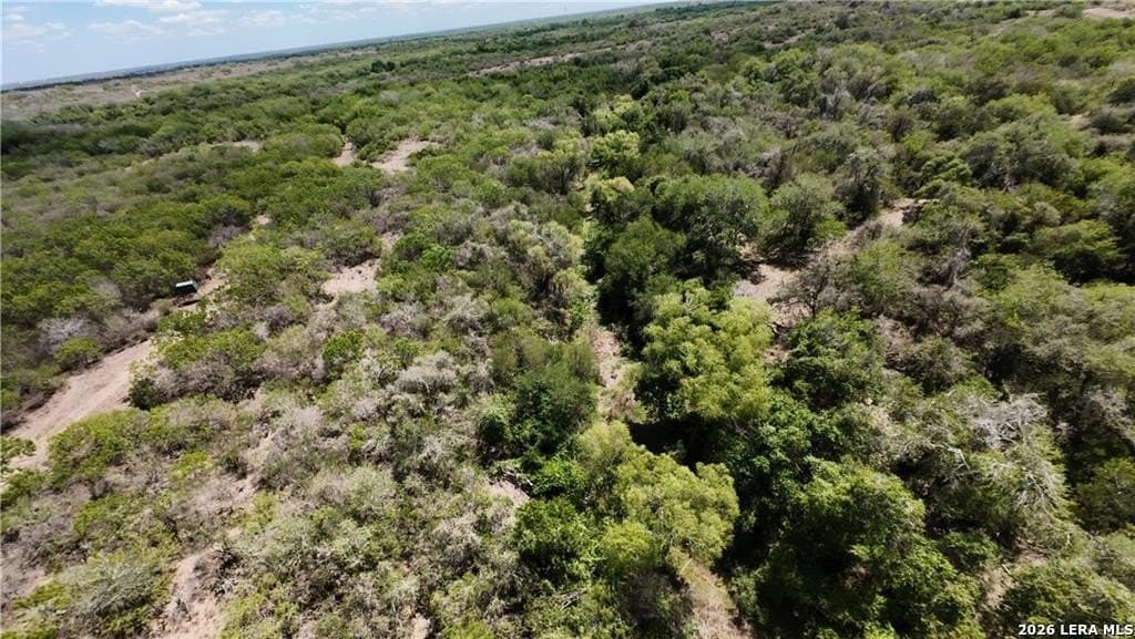 67 acres in Live Oak County - photo 15