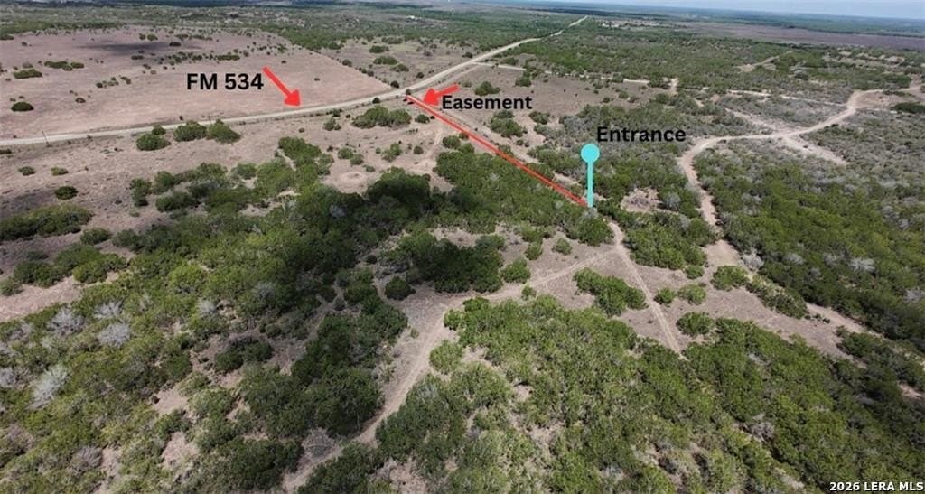 67 acres in Live Oak County gallery image 2