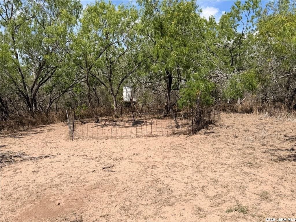 67 acres in Live Oak County - photo 31