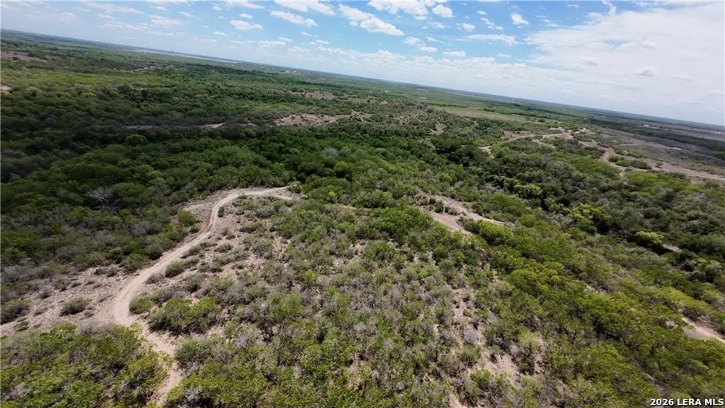 67 acres in Live Oak County - photo 12