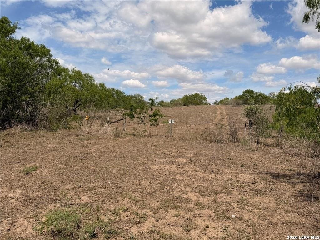 67 acres in Live Oak County - photo 34