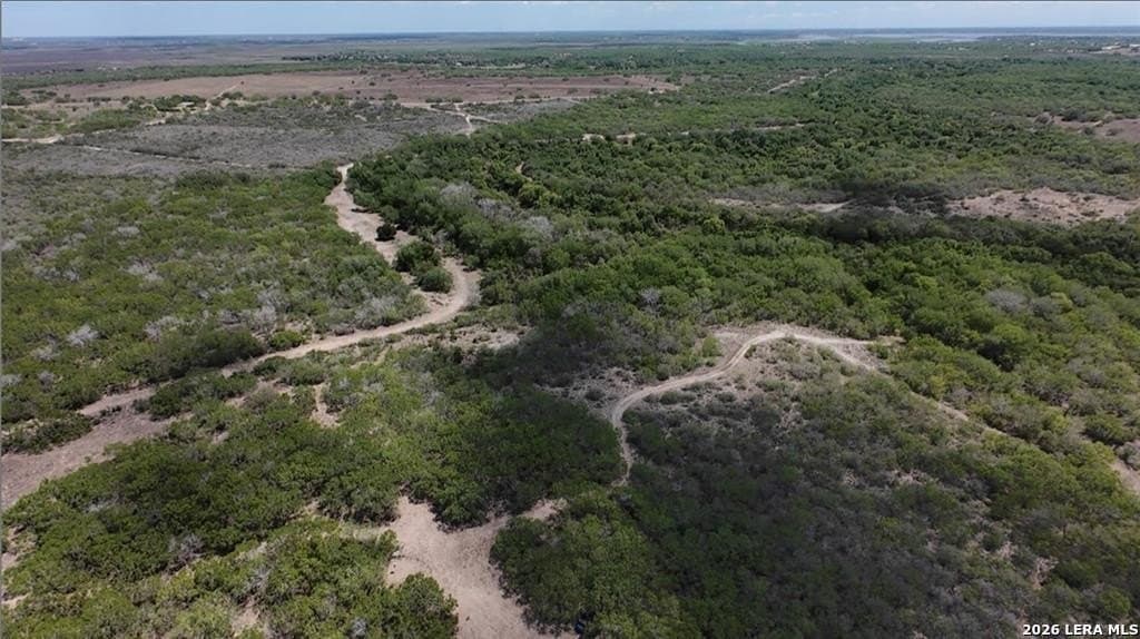 67 acres in Live Oak County gallery image 4