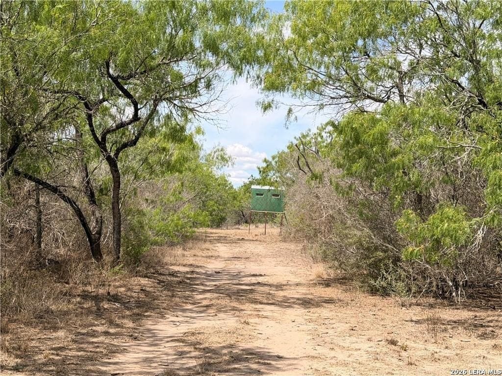 67 acres in Live Oak County - photo 33