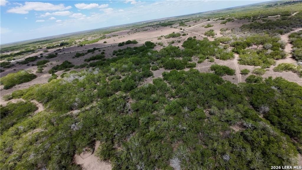 67 acres in Live Oak County - photo 11
