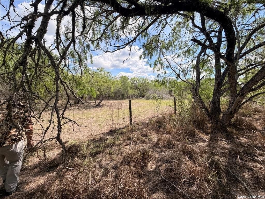 67 acres in Live Oak County - photo 22