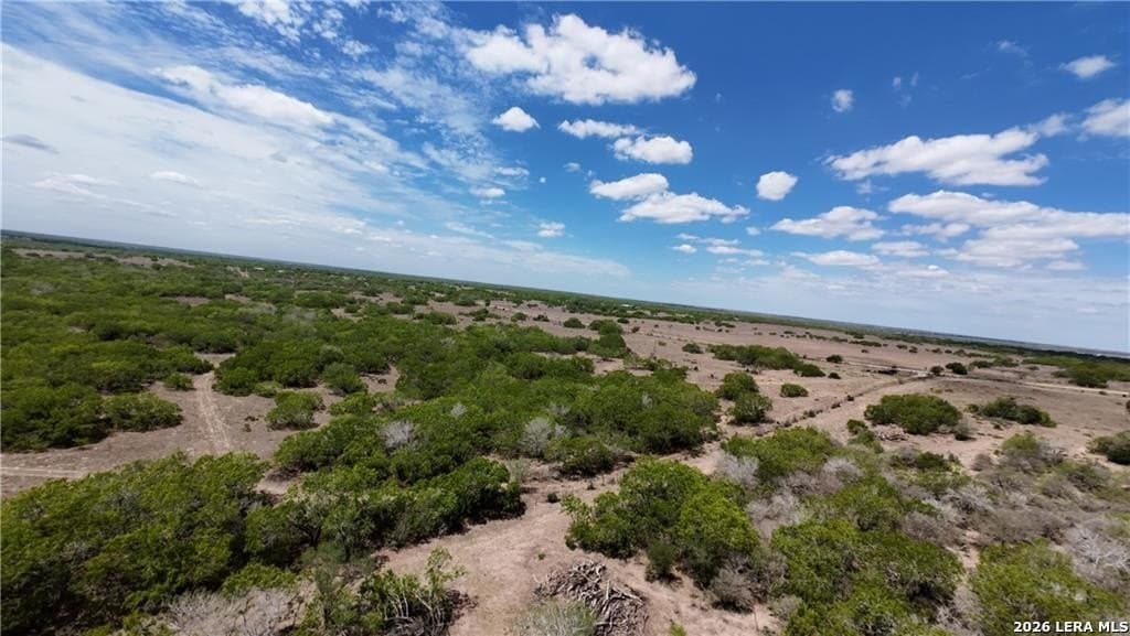 67 acres in Live Oak County - photo 16