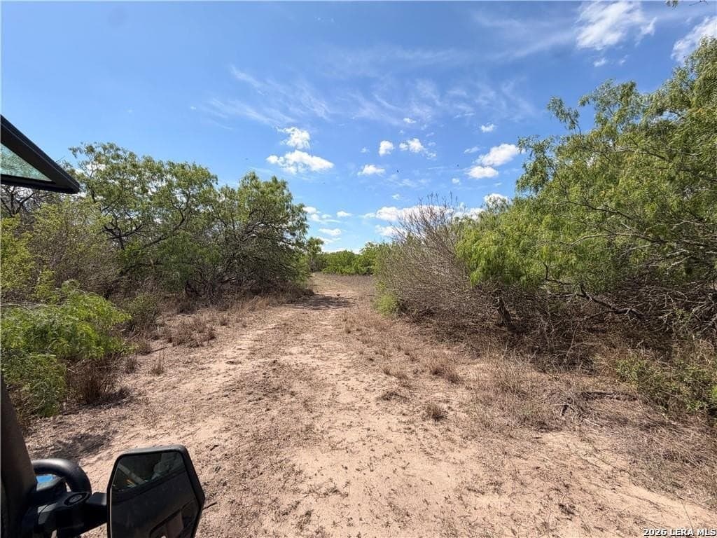 67 acres in Live Oak County - photo 20