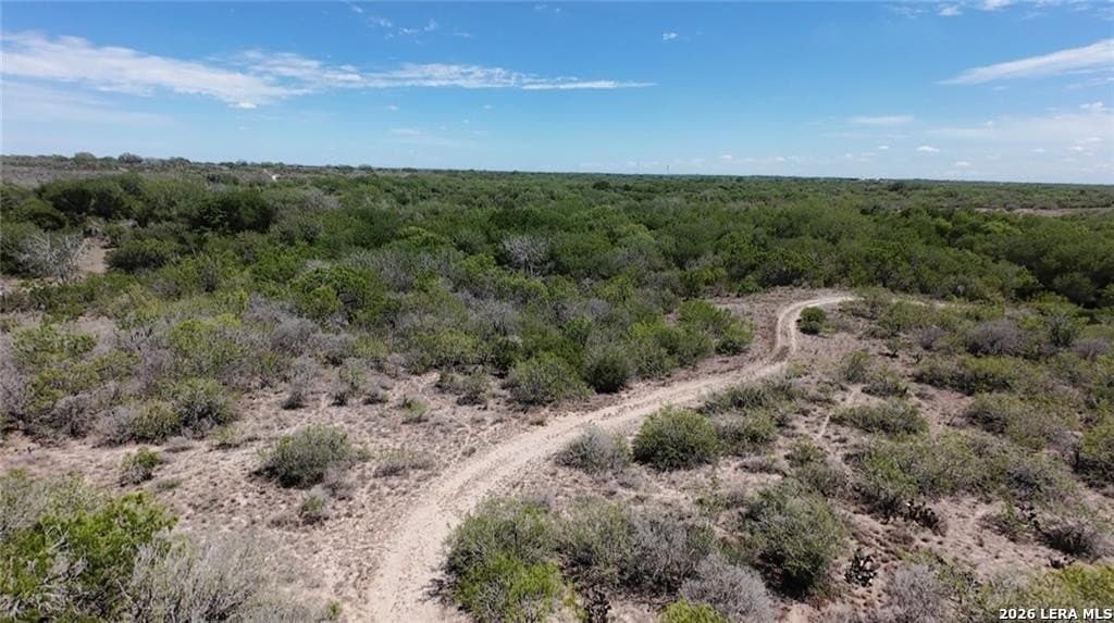 67 acres in Live Oak County - photo 8