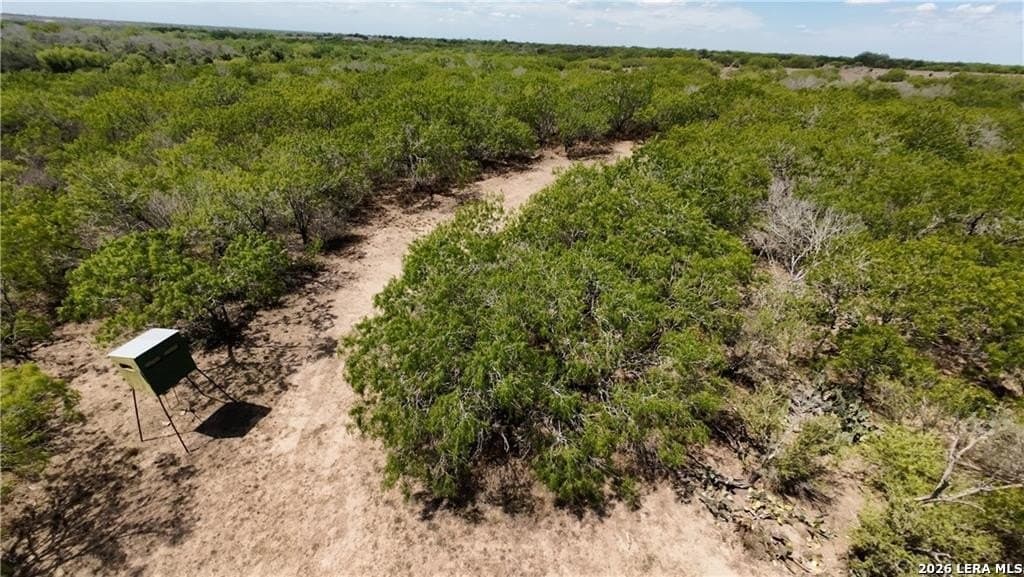 67 acres in Live Oak County - photo 10
