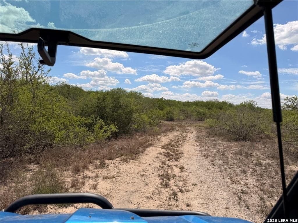 67 acres in Live Oak County - photo 36