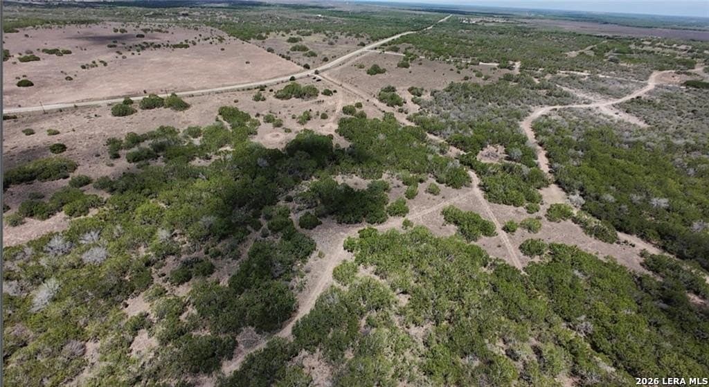 67 acres in Live Oak County gallery image 3