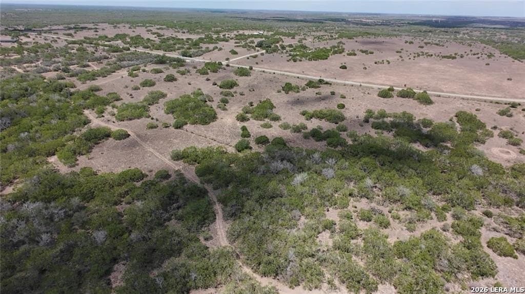 67 acres in Live Oak County - photo 7