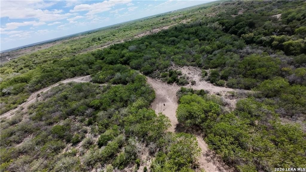67 acres in Live Oak County - photo 13