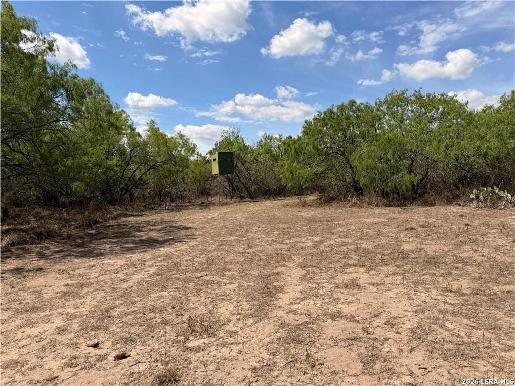 67 acres in Live Oak County - photo 30