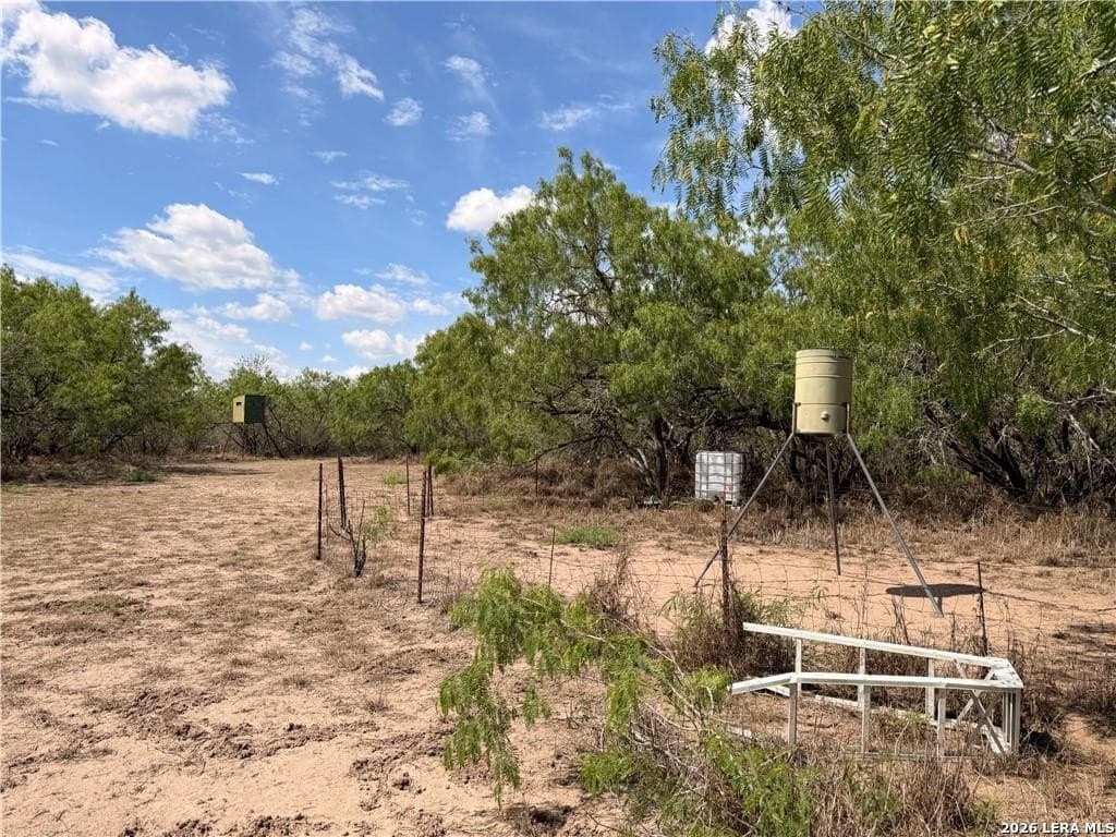 67 acres in Live Oak County - photo 28