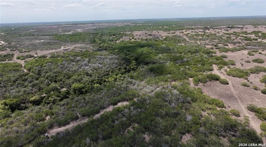 67 acres in Live Oak County - photo 6
