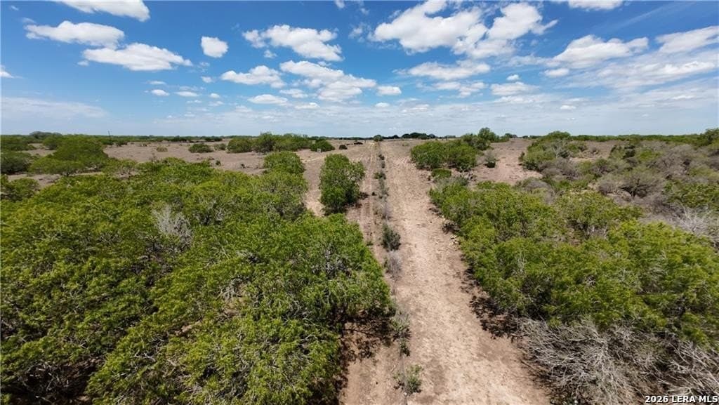 67 acres in Live Oak County - photo 18