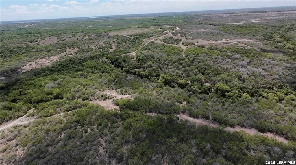 67 acres in Live Oak County featured view