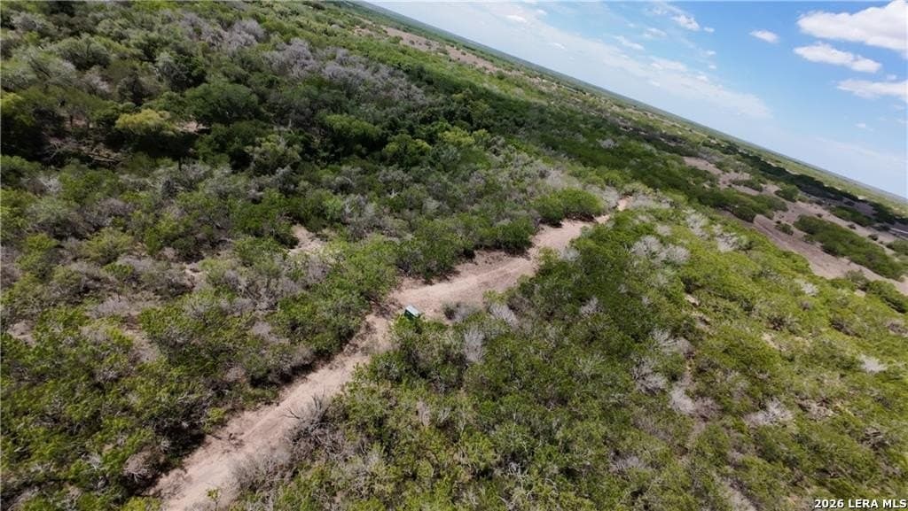 67 acres in Live Oak County - photo 14