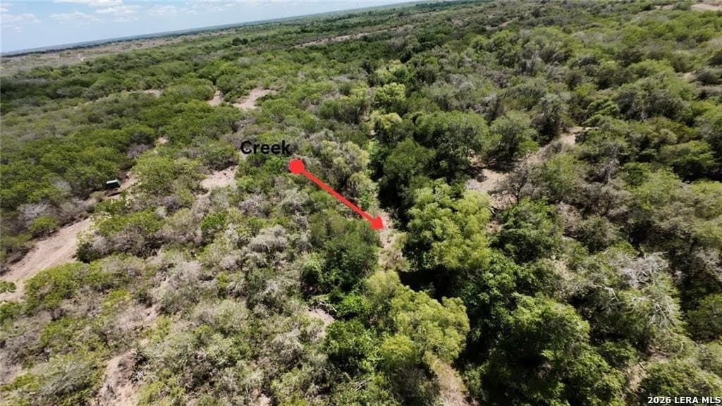 67 acres in Live Oak County - photo 9