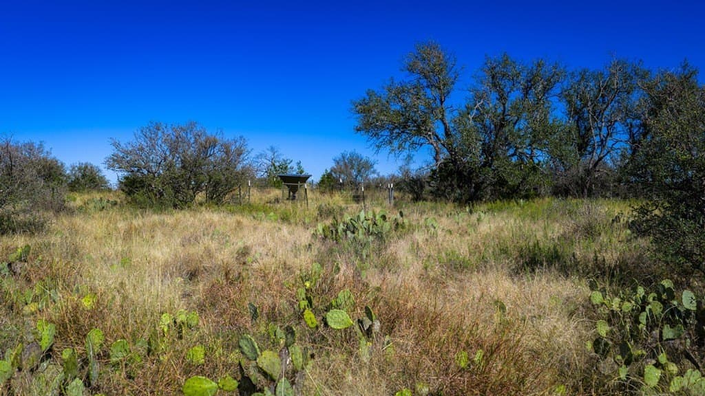 100 acres in McCulloch County gallery image 2