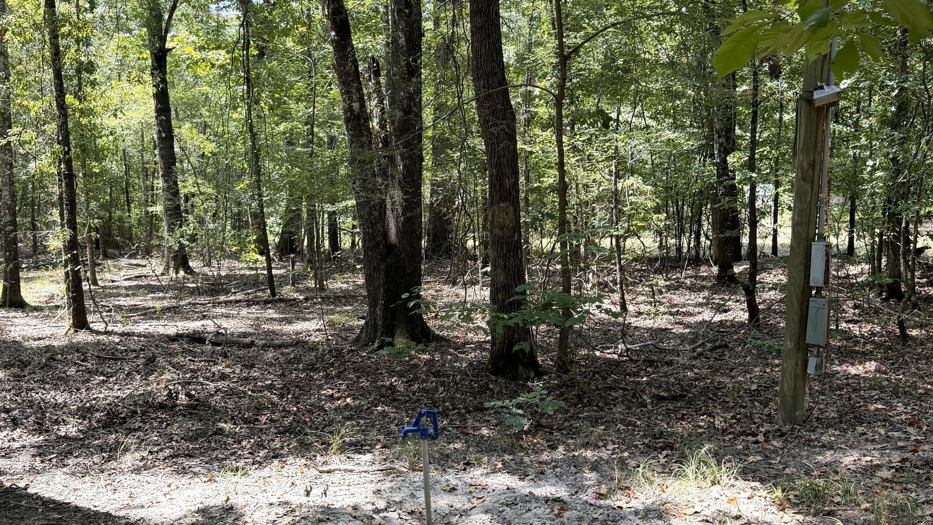 65 acres in Red River (TX) County - photo 6