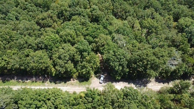 65 acres in Red River (TX) County - photo 8