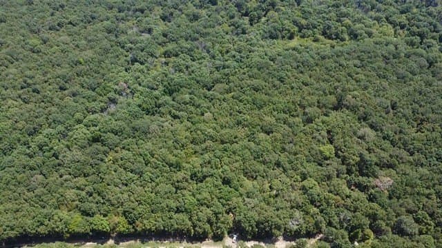 65 acres in Red River (TX) County - photo 9