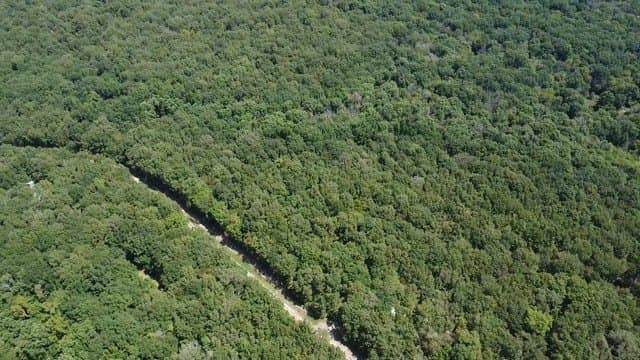 65 acres in Red River (TX) County - photo 10