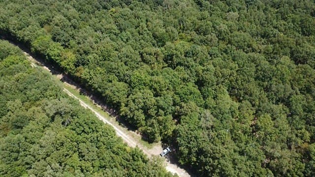65 acres in Red River (TX) County - photo 11