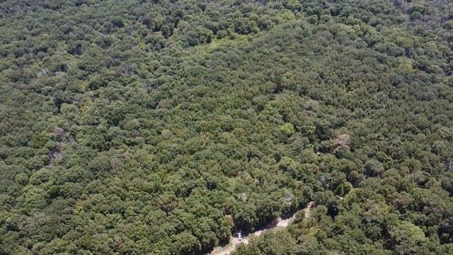 65 acres in Red River (TX) County