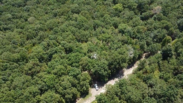 65 acres in Red River (TX) County - photo 12