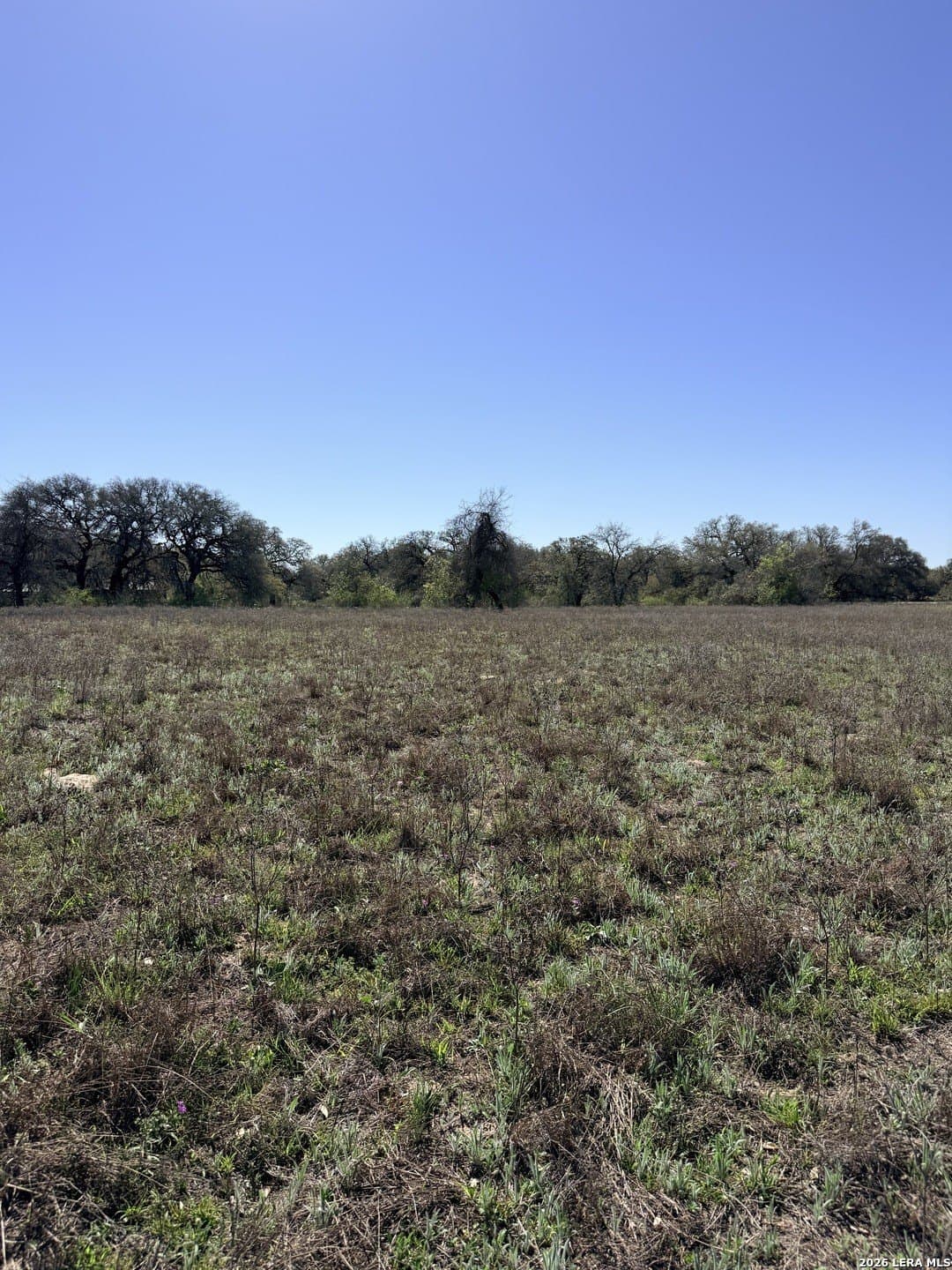 3.25 acres in Bexar County - photo 16