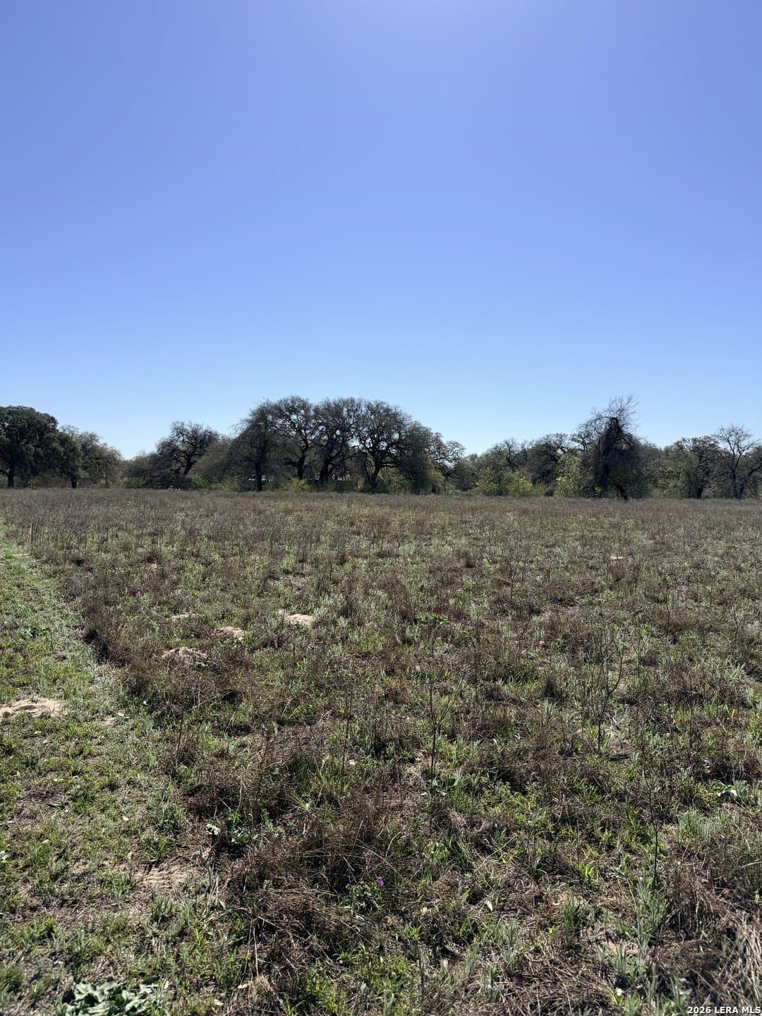 3.25 acres in Bexar County - photo 10