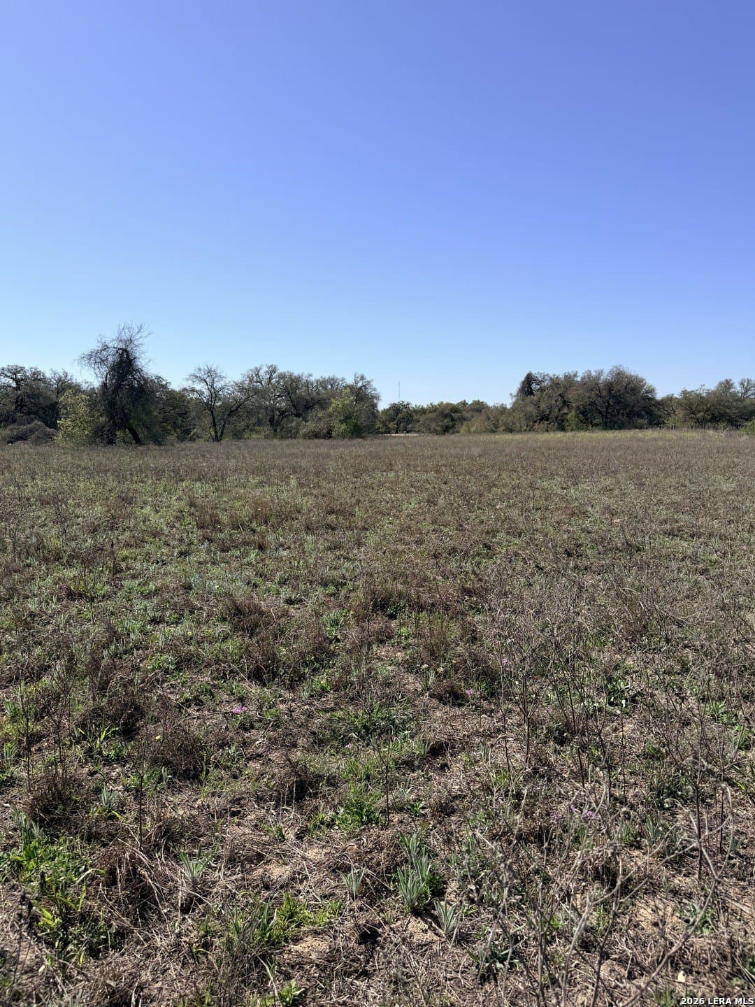 3.25 acres in Bexar County - photo 19