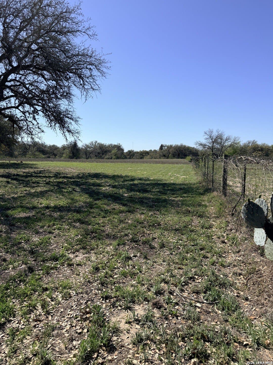 3.25 acres in Bexar County - photo 17