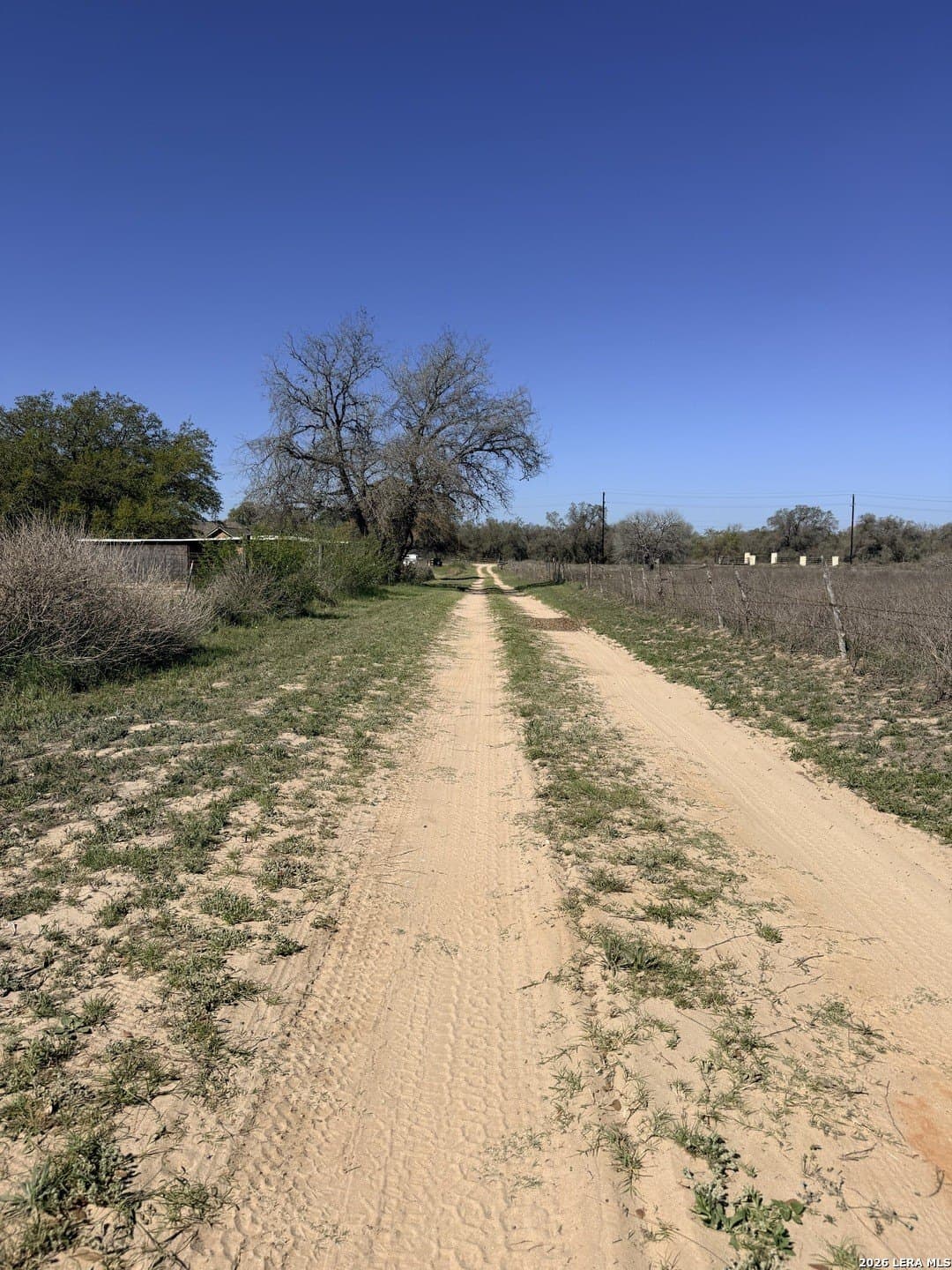 3.25 acres in Bexar County gallery image 4