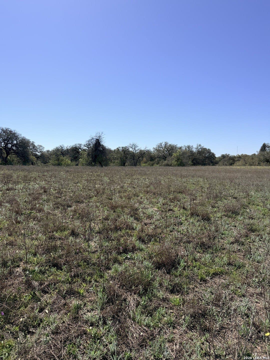 3.25 acres in Bexar County - photo 20