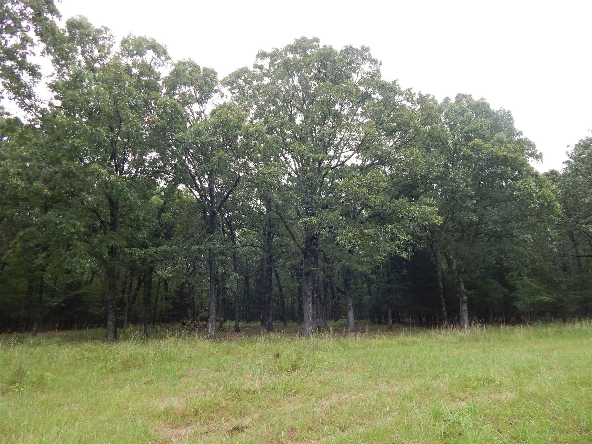 10.12 acres in Red River (TX) County - photo 9