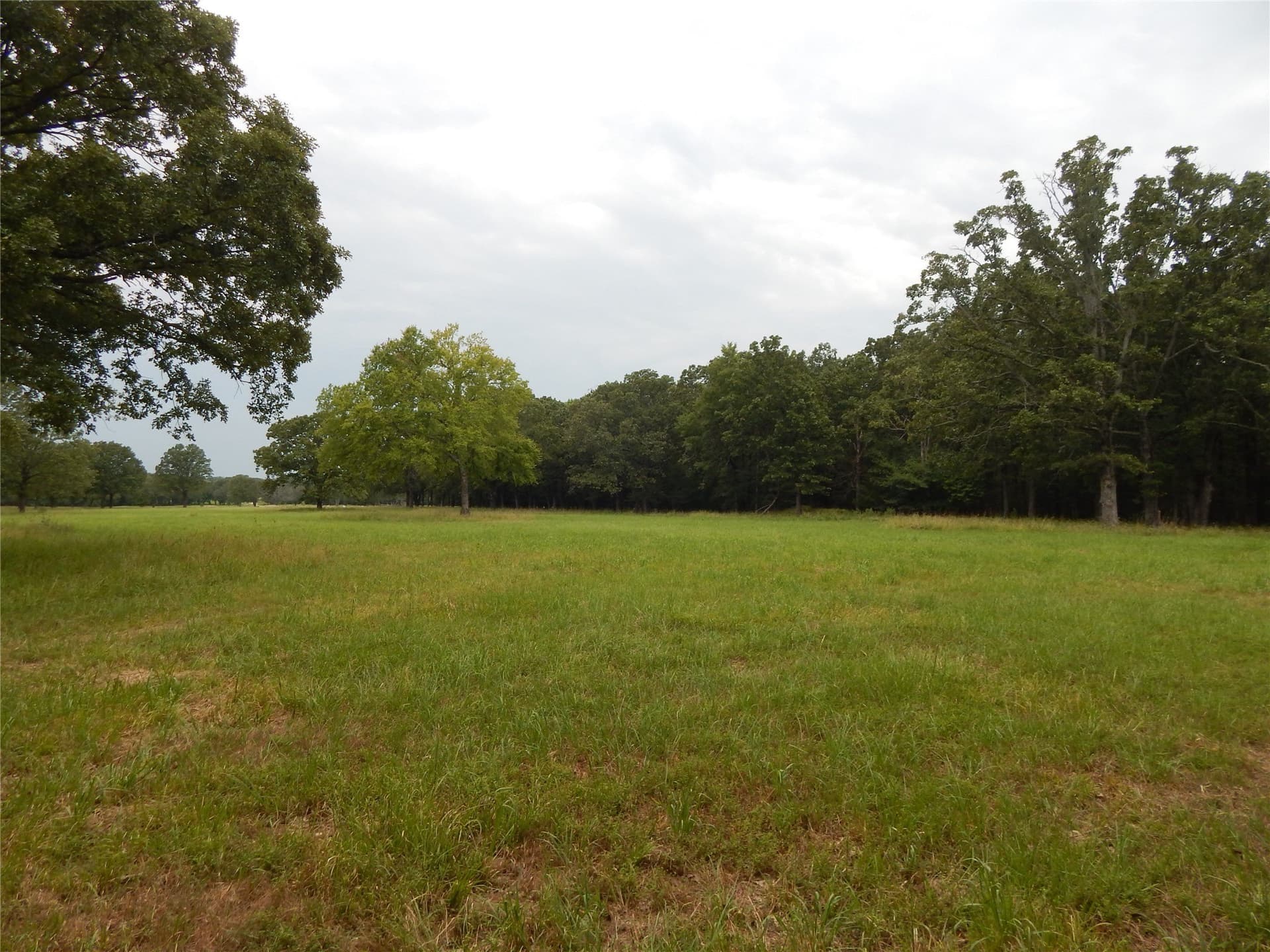 10.12 acres in Red River (TX) County - photo 11