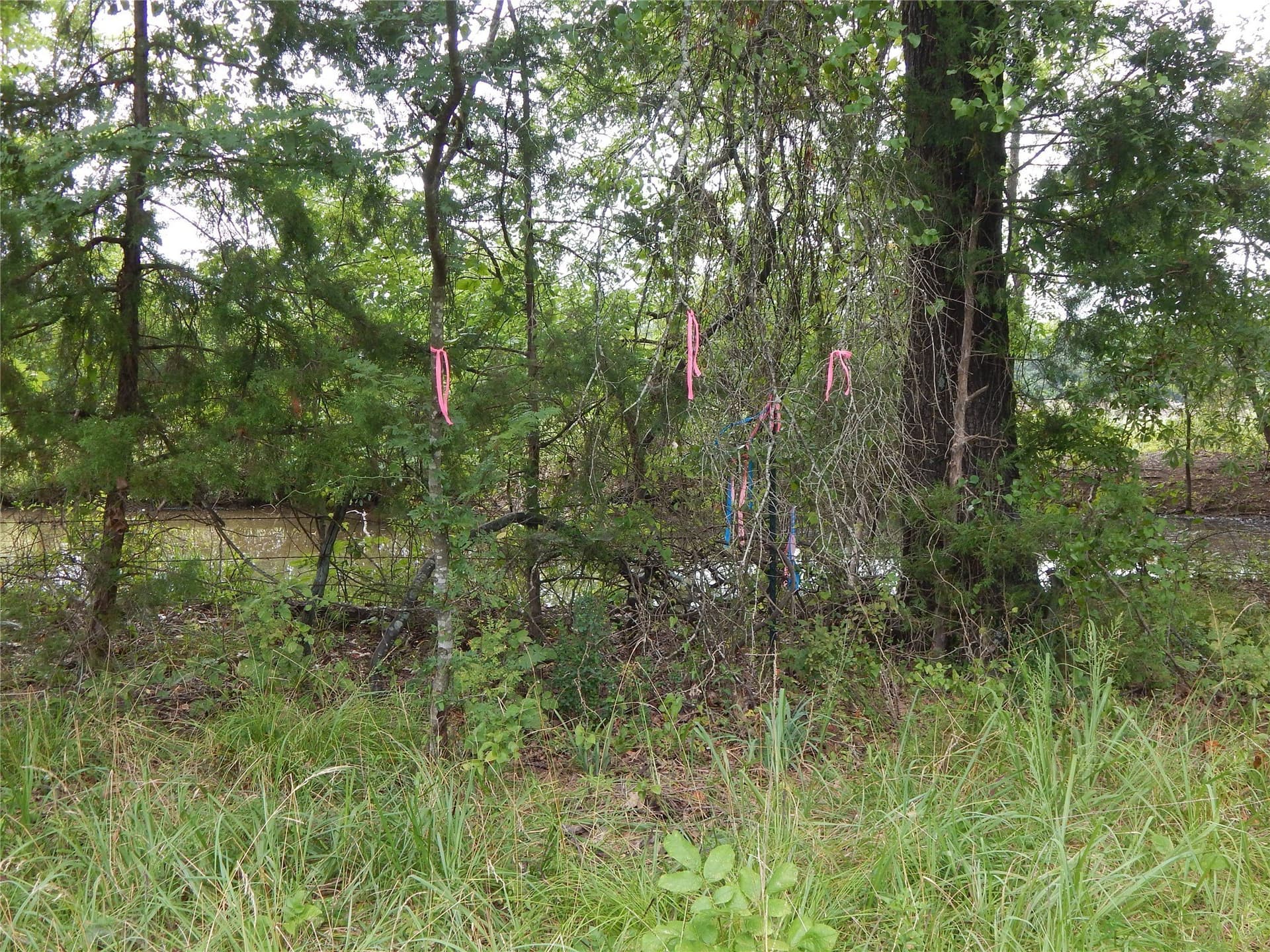 10.12 acres in Red River (TX) County - photo 8