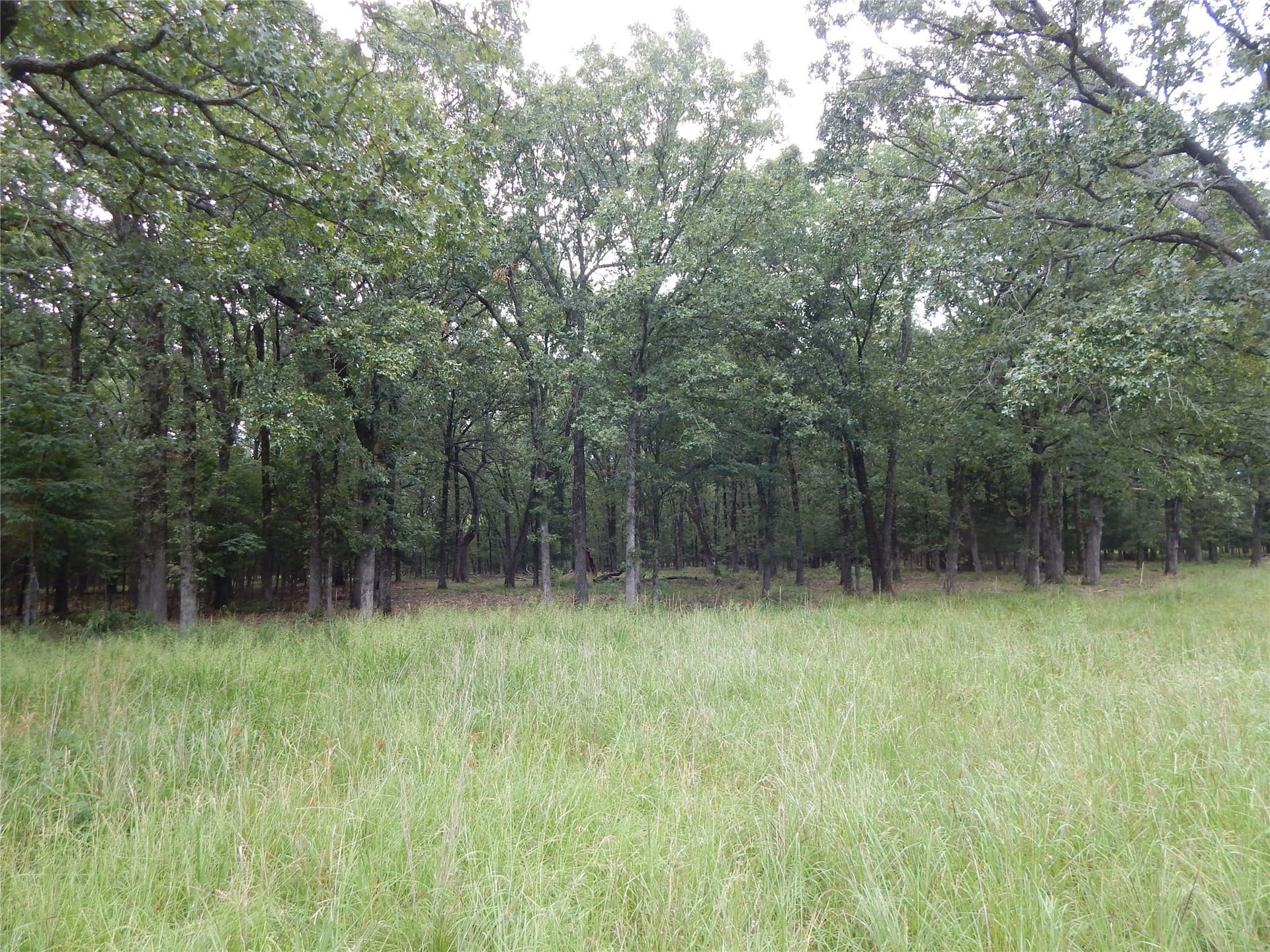 10.12 acres in Red River (TX) County - photo 16