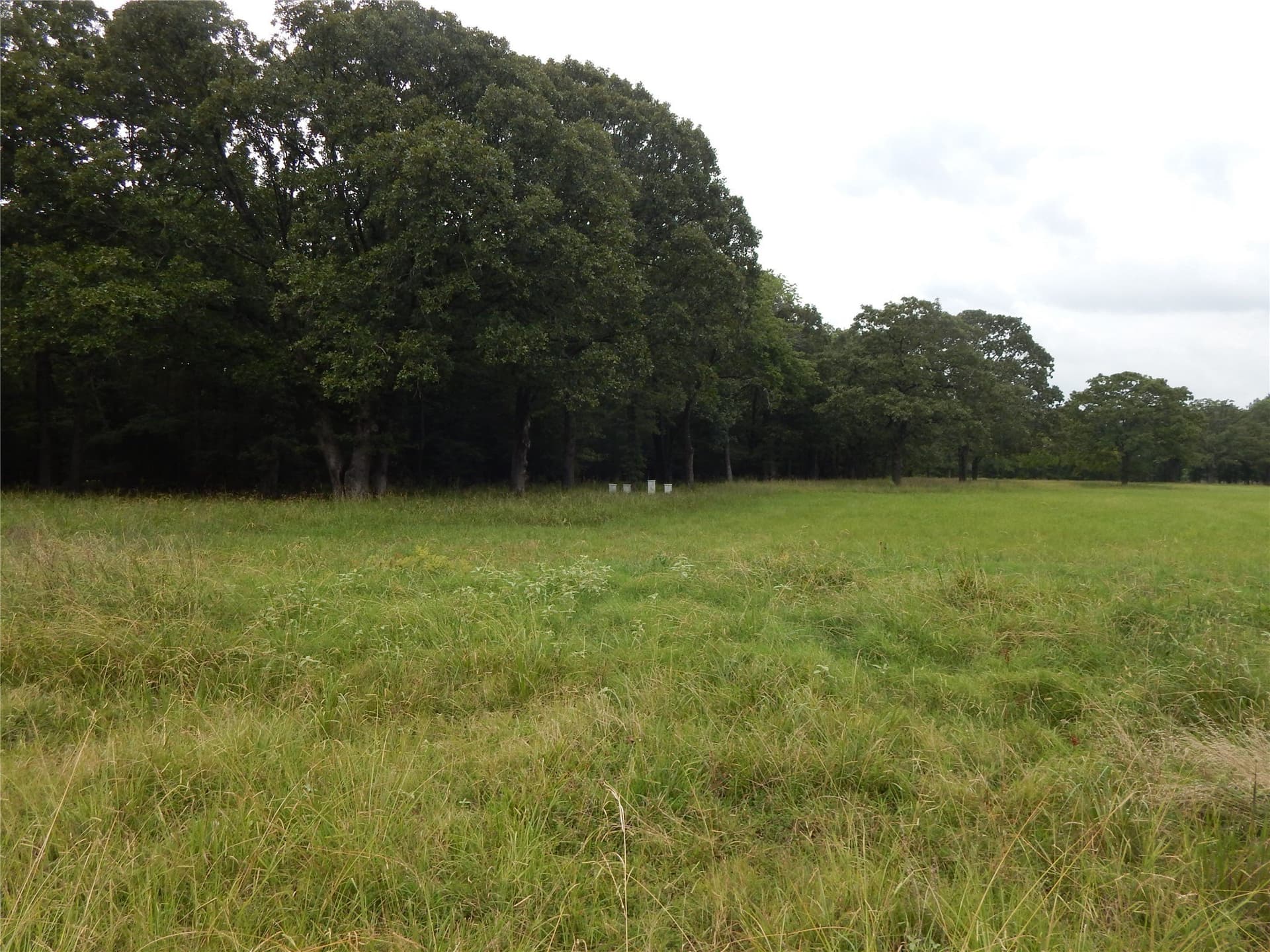 10.12 acres in Red River (TX) County - photo 6