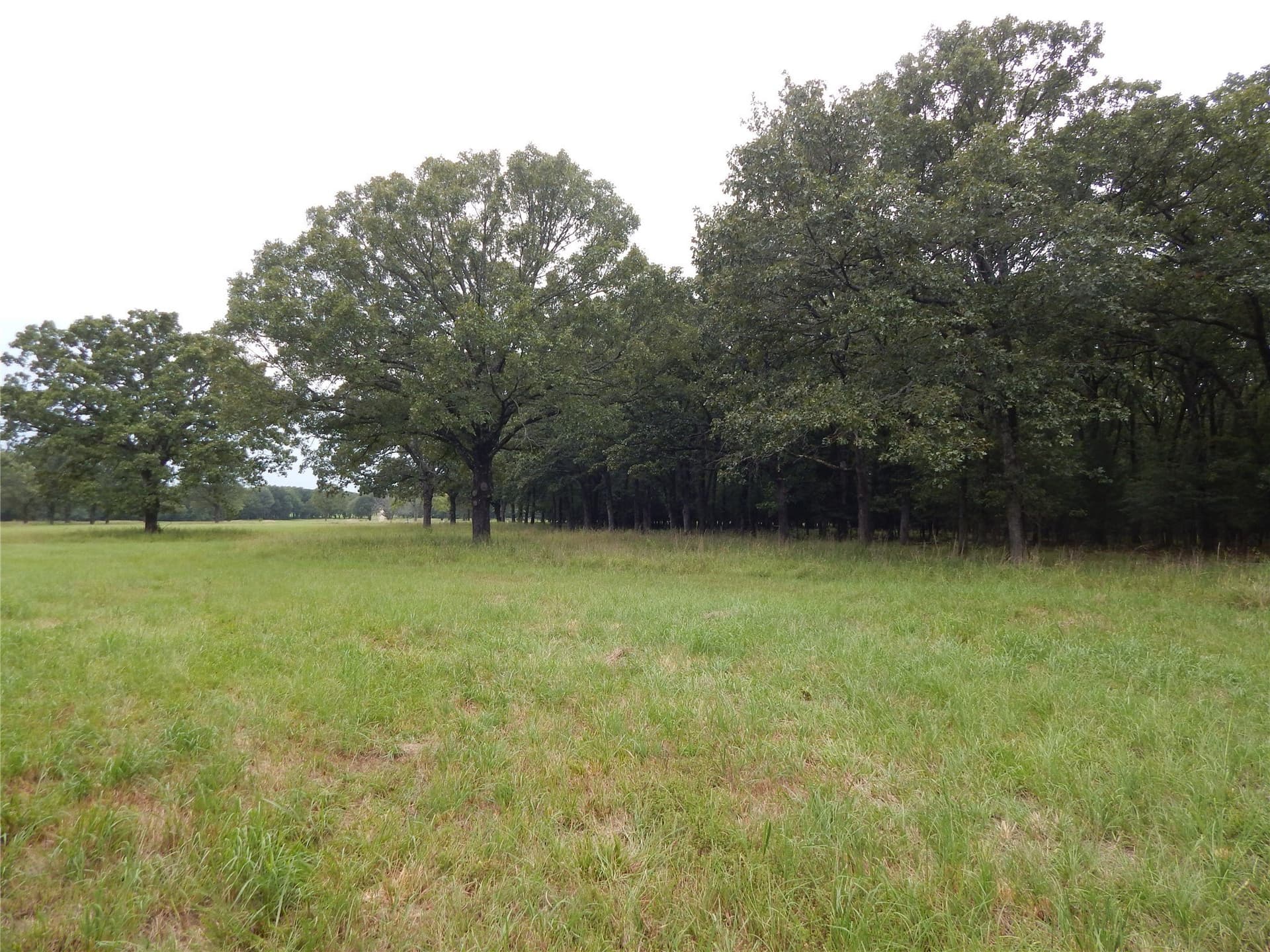 10.12 acres in Red River (TX) County - photo 18